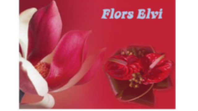 Floristería Elvi